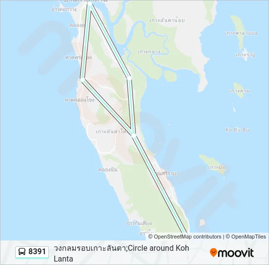 8391 Bus Line Map