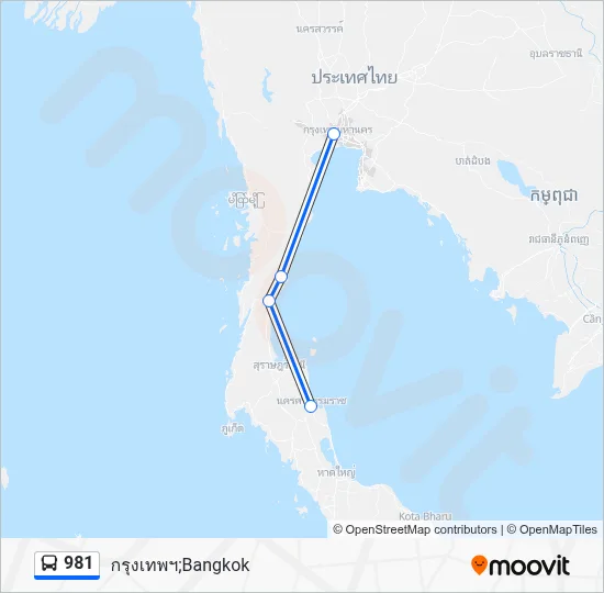 981 Bus Line Map
