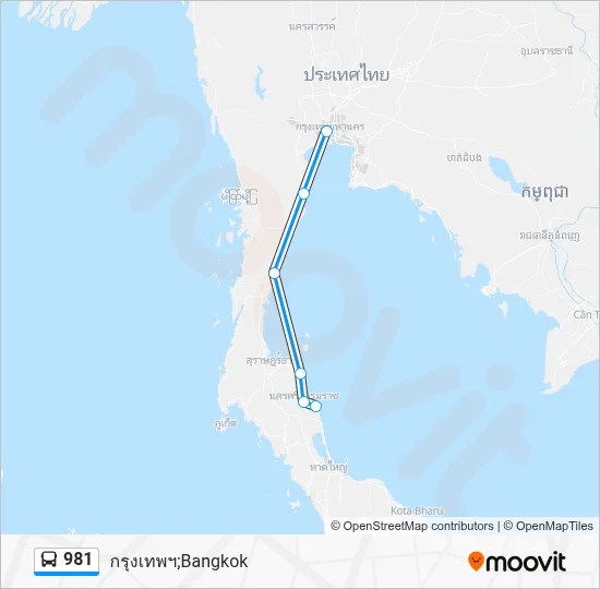 981 Bus Line Map
