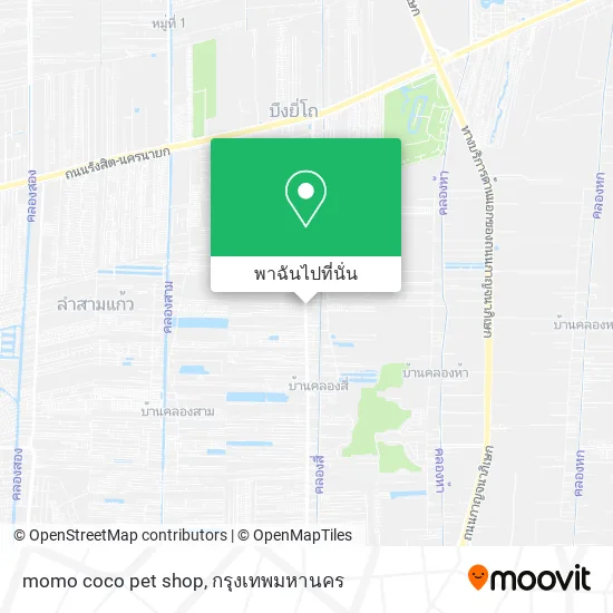 momo coco pet shop แผนที่
