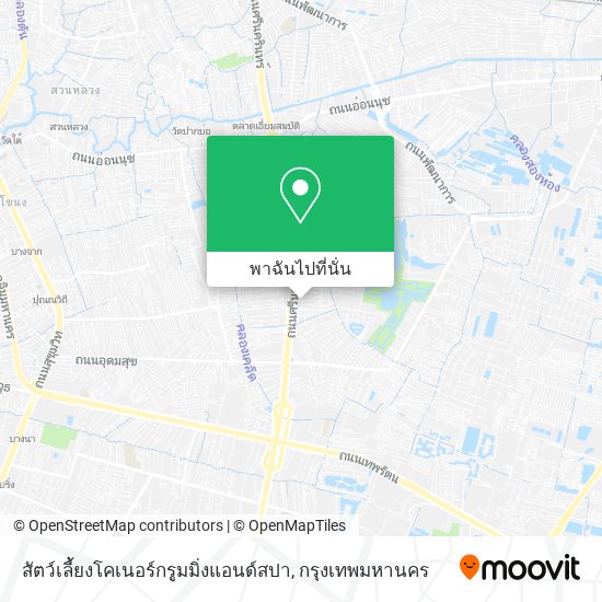 สัตว์เลี้ยงโคเนอร์กรูมมิ่งแอนด์สปา แผนที่