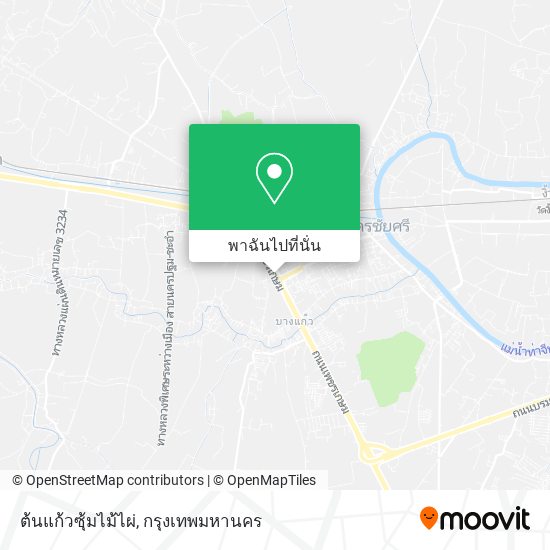 ต้นแก้วซุ้มไม้ไผ่ แผนที่