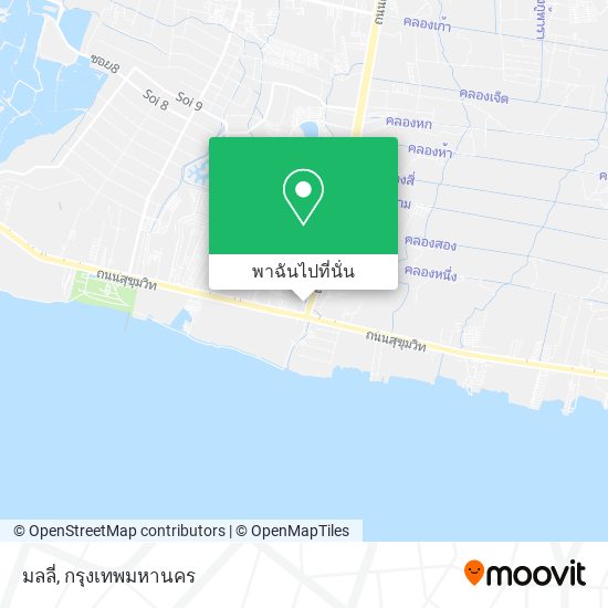 มลลี่ แผนที่