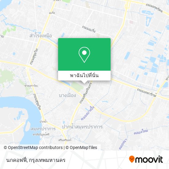 นกคอฟฟี่ แผนที่