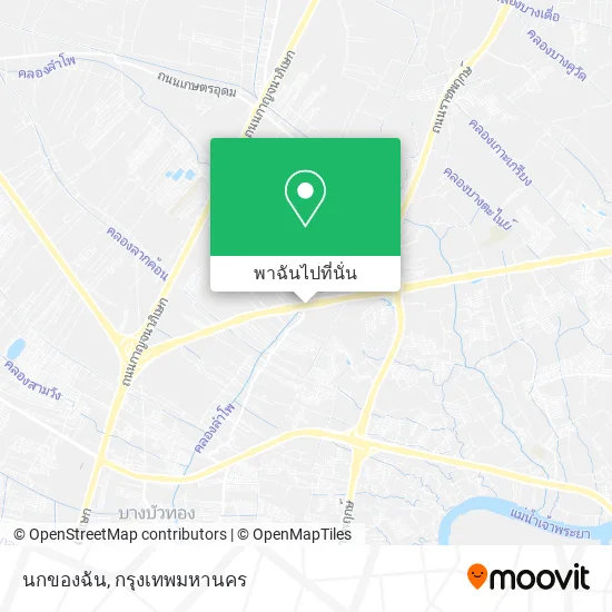 นกของฉัน แผนที่