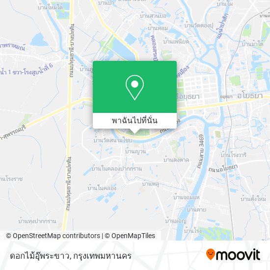 ดอกไม้อุ๊พระขาว แผนที่
