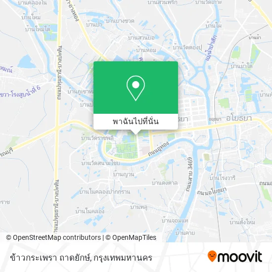 ข้าวกระเพรา ถาดยักษ์ แผนที่