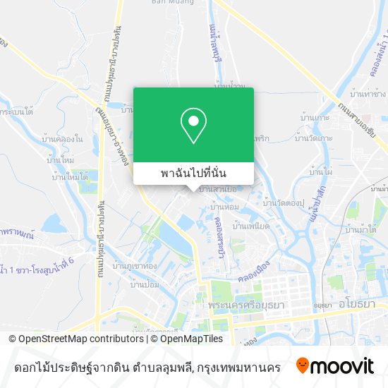 ดอกไม้ประดิษฐ์จากดิน ตําบลลุมพลี แผนที่