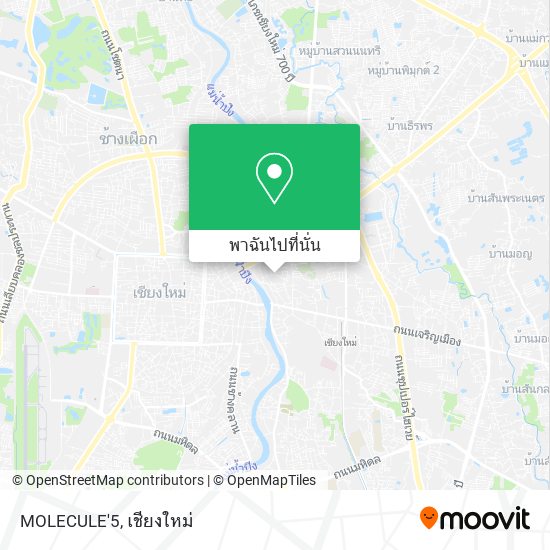 MOLECULE'5 แผนที่
