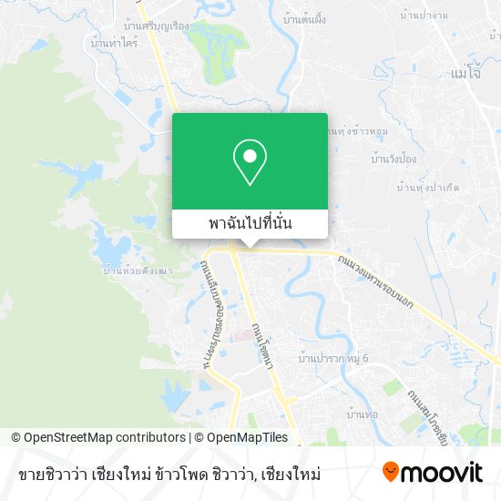 ขายชิวาว่า เชียงใหม่ ข้าวโพด ชิวาว่า แผนที่