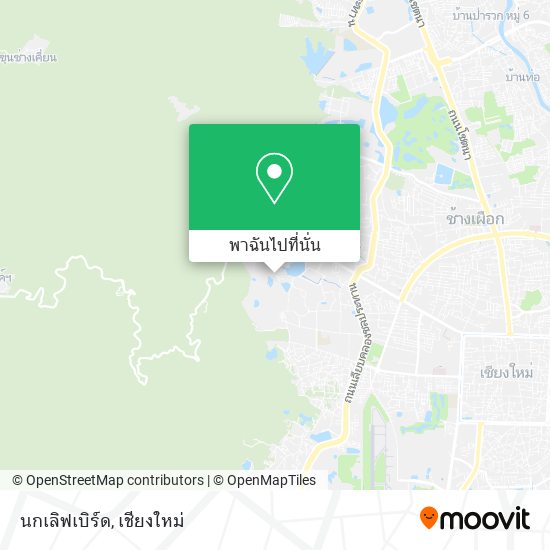นกเลิฟเบิร์ด แผนที่
