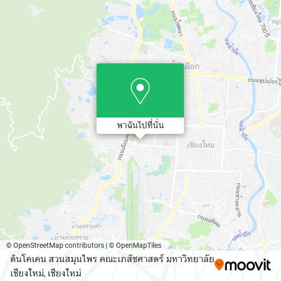 ต้นโคเคน สวนสมุนไพร คณะเภสัชศาสตร์ มหาวิทยาลัยเชียงใหม่ แผนที่