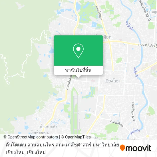 ต้นโคเคน สวนสมุนไพร คณะเภสัชศาสตร์ มหาวิทยาลัยเชียงใหม่ แผนที่
