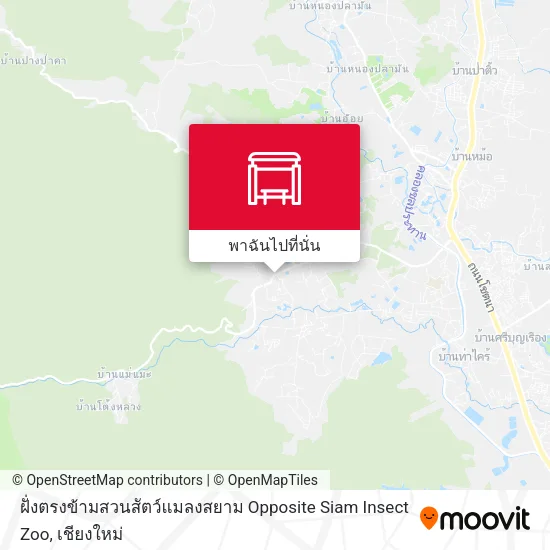 ฝั่งตรงข้ามสวนสัตว์แมลงสยาม Opposite Siam Insect Zoo แผนที่