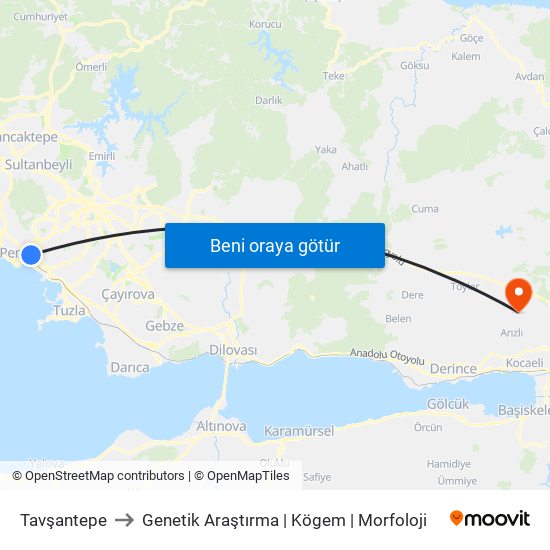 Tavşantepe to Genetik Araştırma | Kögem | Morfoloji map