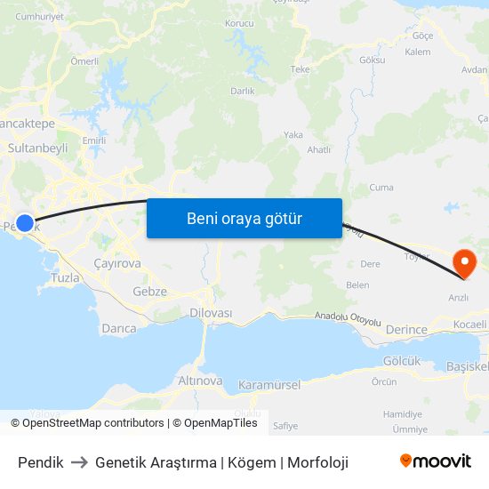 Pendik to Genetik Araştırma | Kögem | Morfoloji map