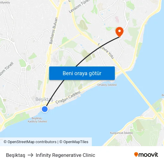 Beşiktaş to Infinity Regenerative Clinic map