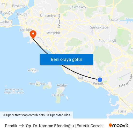 Pendik to Op. Dr. Kamran Efendioğlu | Estetik Cerrahi map