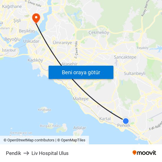 Pendik to Liv Hospital Ulus map