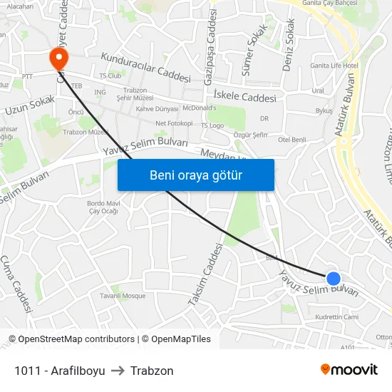 1011 - Arafilboyu to Trabzon map