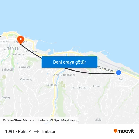 1091 - Pelitli-1 to Trabzon map