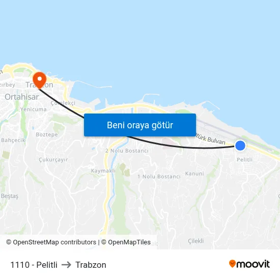 1110 - Pelitli to Trabzon map
