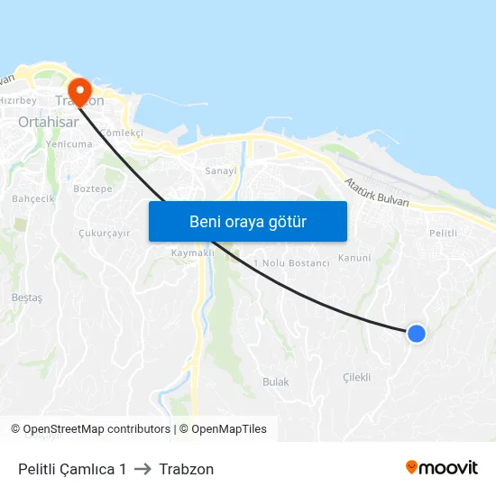 Pelitli Çamlıca 1 to Trabzon map
