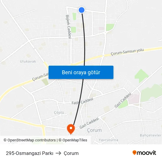 295-Osmangazi Parkı to Çorum map