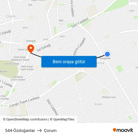 544-Özdoğanlar to Çorum map