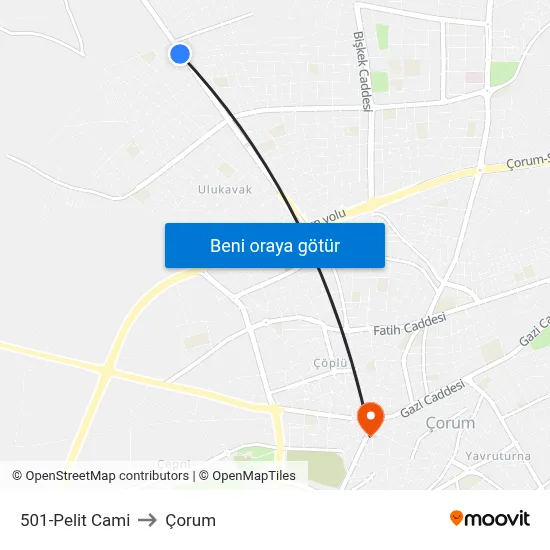 501-Pelit Cami to Çorum map
