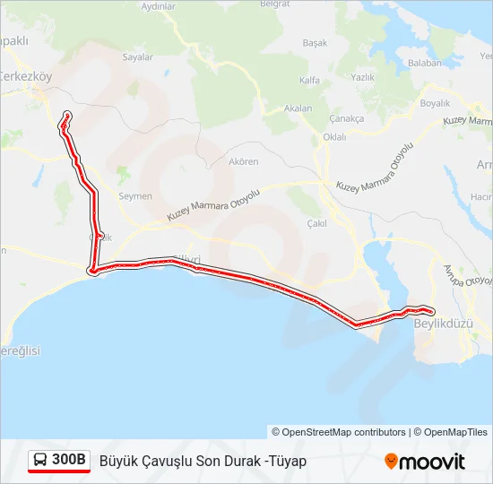 300B Bus Line Map