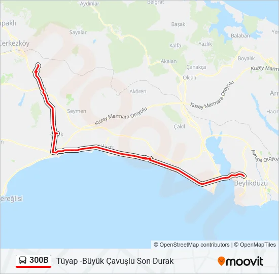 300B Bus Line Map
