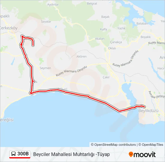 300B Bus Line Map