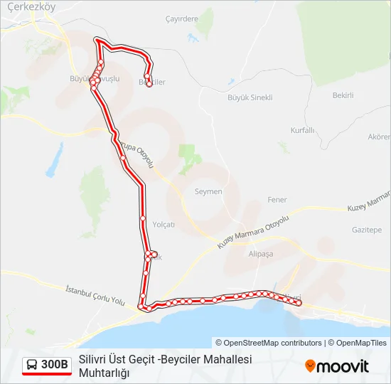 300B Bus Line Map