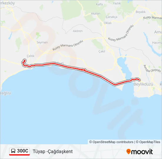 300C Bus Line Map