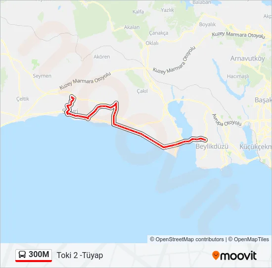 300M Bus Line Map