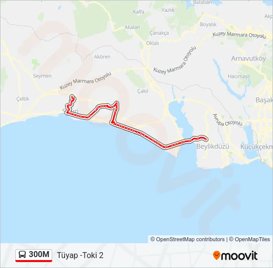 300M Bus Line Map