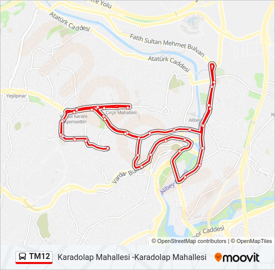 TM12 bus Line Map