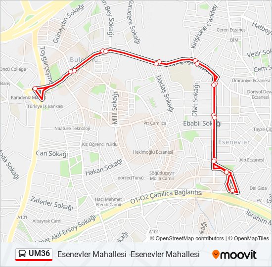 UM36 bus Line Map