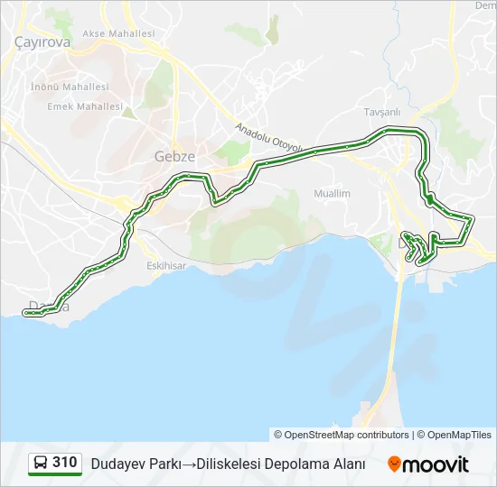 310 Bus Line Map