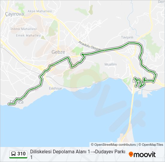 310 Bus Line Map