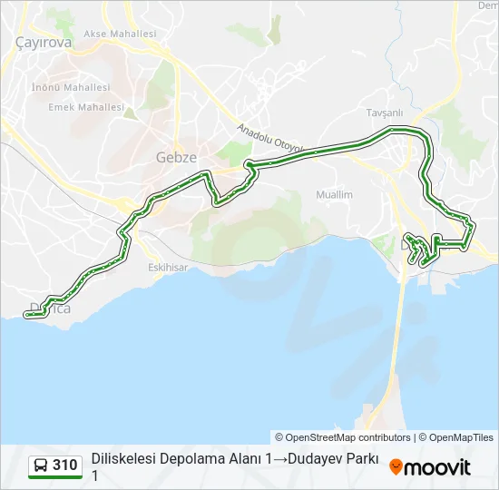 310 Bus Line Map