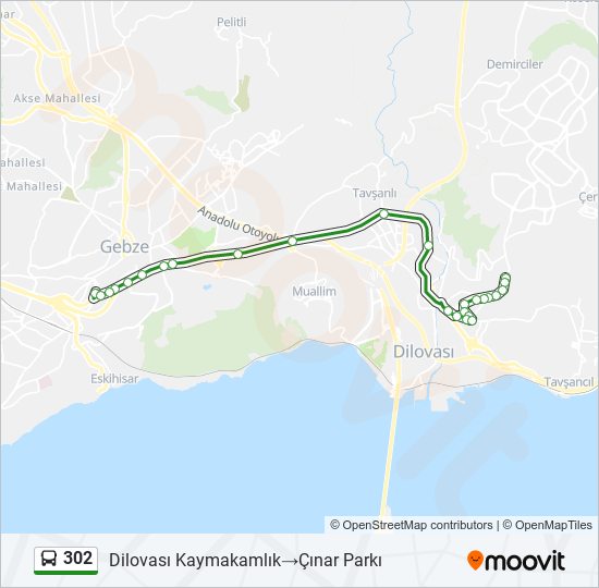 302 bus Line Map