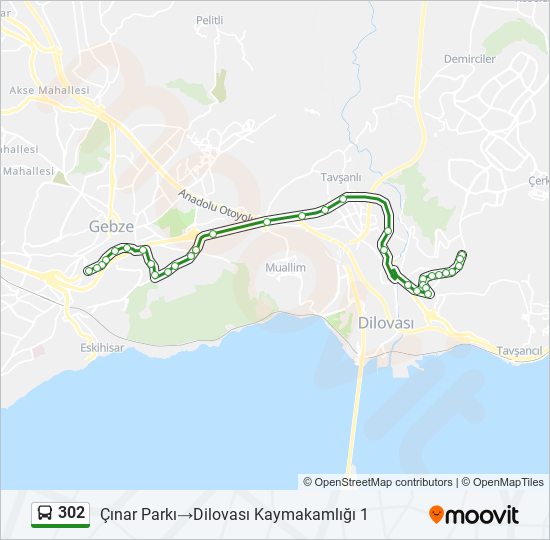 302 otobüs Hattı Haritası