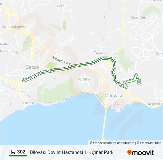302 Bus Line Map