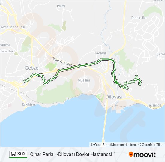 302 Bus Line Map