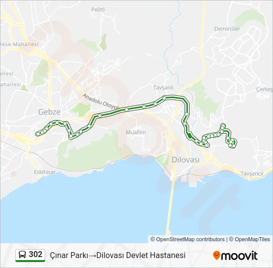302 Bus Line Map
