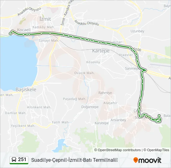 251 Bus Line Map
