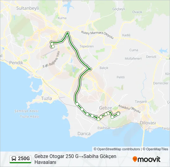 250G Bus Line Map