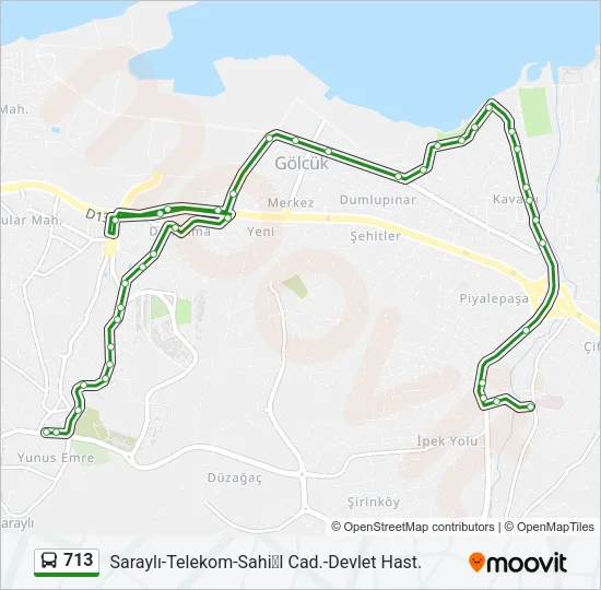 713 Bus Line Map